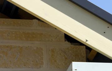soffit repair Blackhillock