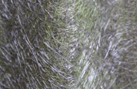 Blackhillock fibreglass roof work